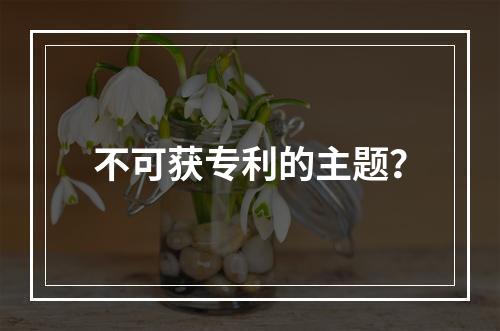 不可获专利的主题？