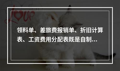 领料单、差旅费报销单、折旧计算表、工资费用分配表既是自制原始