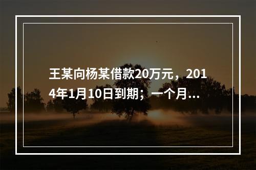 王某向杨某借款20万元，2014年1月10日到期；一个月后，