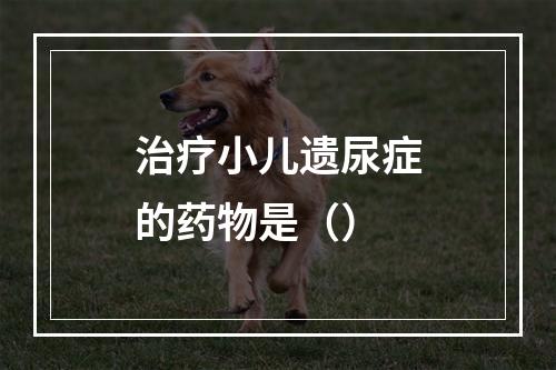 治疗小儿遗尿症的药物是（）