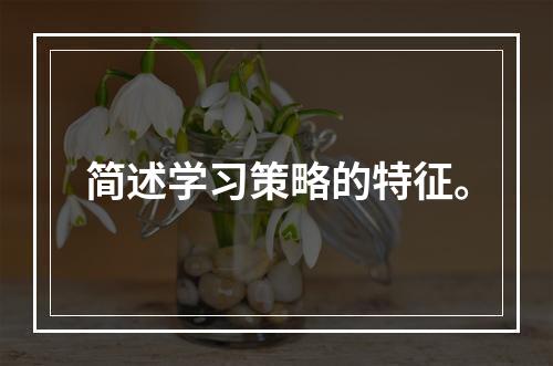 简述学习策略的特征。