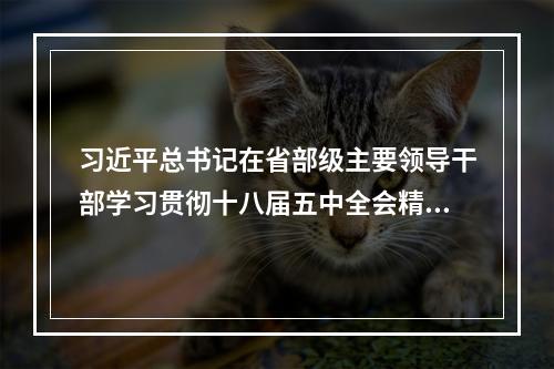 习近平总书记在省部级主要领导干部学习贯彻十八届五中全会精神专