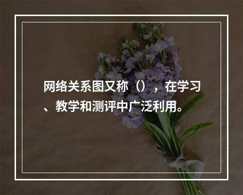 网络关系图又称（），在学习、教学和测评中广泛利用。