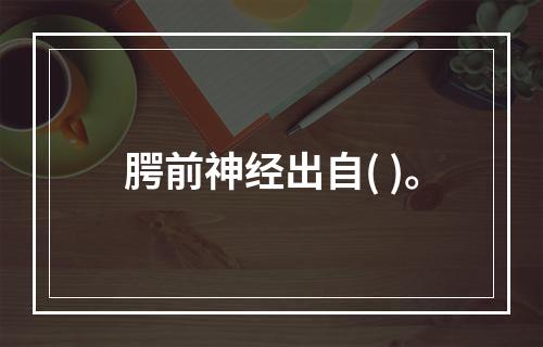 腭前神经出自( )。