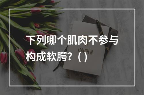 下列哪个肌肉不参与构成软腭？( )