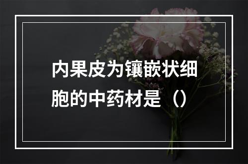 内果皮为镶嵌状细胞的中药材是（）