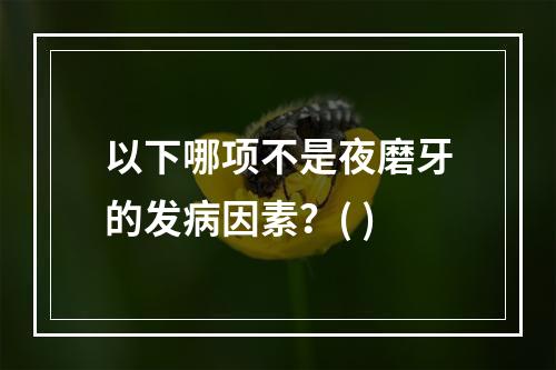 以下哪项不是夜磨牙的发病因素？( )