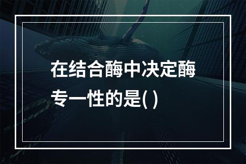 在结合酶中决定酶专一性的是( )