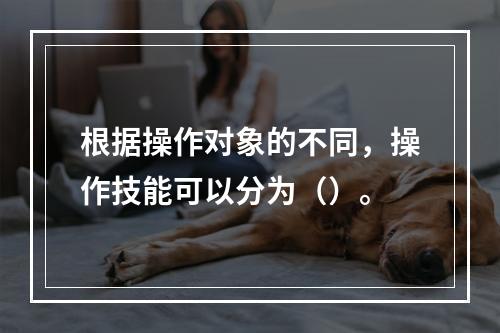 根据操作对象的不同，操作技能可以分为（）。