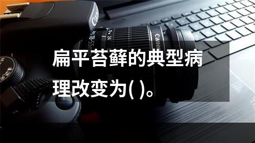 扁平苔藓的典型病理改变为( )。