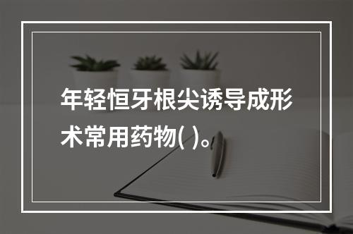 年轻恒牙根尖诱导成形术常用药物( )。