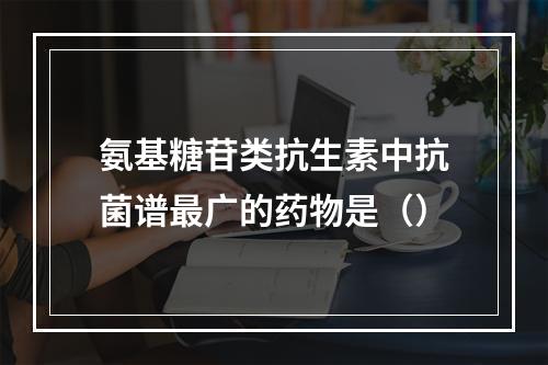 氨基糖苷类抗生素中抗菌谱最广的药物是（）