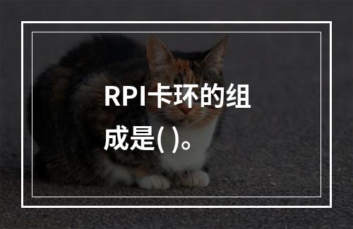 RPI卡环的组成是( )。