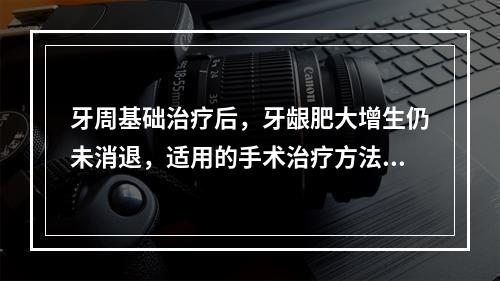 牙周基础治疗后，牙龈肥大增生仍未消退，适用的手术治疗方法为(