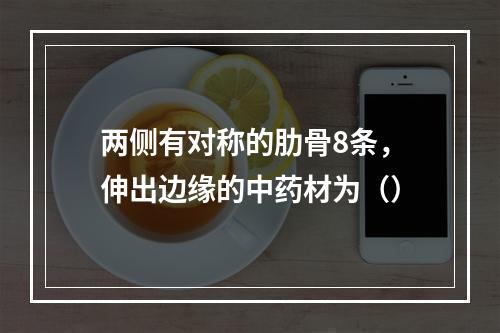 两侧有对称的肋骨8条，伸出边缘的中药材为（）