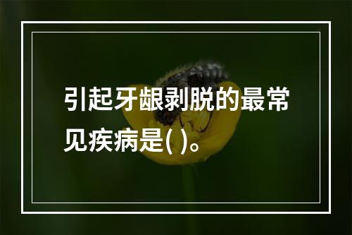 引起牙龈剥脱的最常见疾病是( )。