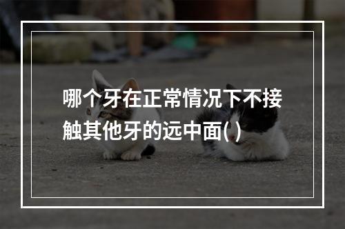 哪个牙在正常情况下不接触其他牙的远中面( )