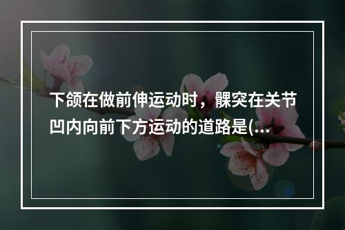 下颌在做前伸运动时，髁突在关节凹内向前下方运动的道路是( )