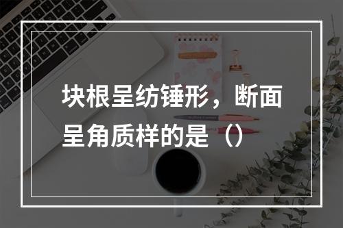 块根呈纺锤形，断面呈角质样的是（）