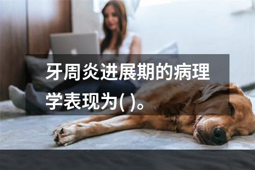 牙周炎进展期的病理学表现为( )。