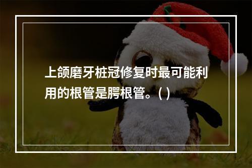 上颌磨牙桩冠修复时最可能利用的根管是腭根管。( )