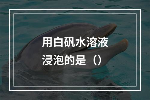 用白矾水溶液浸泡的是（）