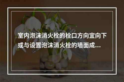 室内泡沫消火栓的栓口方向宜向下或与设置泡沫消火栓的墙面成90