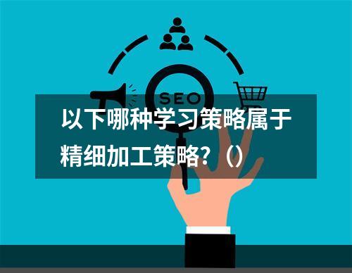 以下哪种学习策略属于精细加工策略?（）