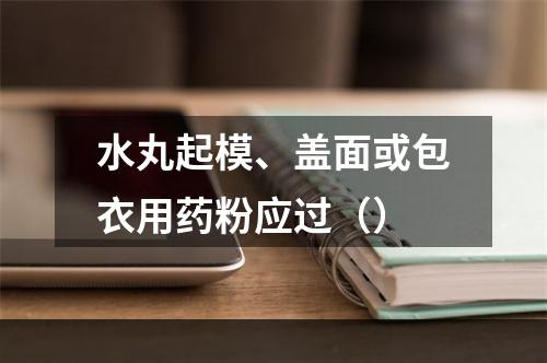 水丸起模、盖面或包衣用药粉应过（）