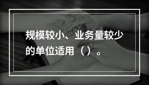 规模较小、业务量较少的单位适用（ ）。