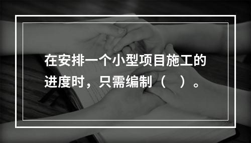 在安排一个小型项目施工的进度时，只需编制（　）。