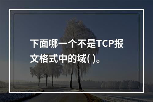 下面哪一个不是TCP报文格式中的域( )。