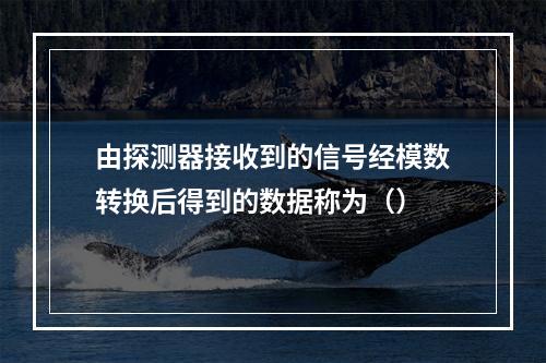 由探测器接收到的信号经模数转换后得到的数据称为（）