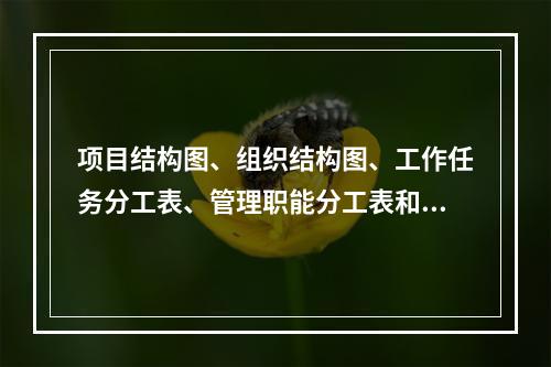 项目结构图、组织结构图、工作任务分工表、管理职能分工表和工作