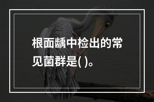 根面龋中检出的常见菌群是( )。