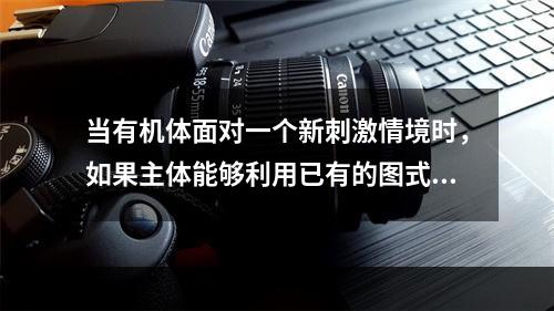 当有机体面对一个新刺激情境时，如果主体能够利用已有的图式将刺