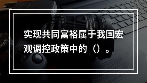 实现共同富裕属于我国宏观调控政策中的（）。