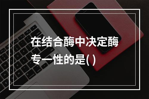 在结合酶中决定酶专一性的是( )