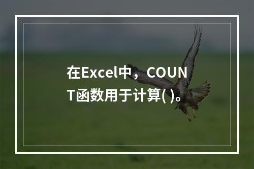 在Excel中，COUNT函数用于计算( )。