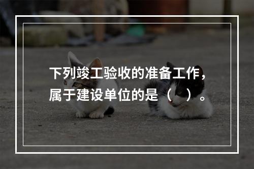 下列竣工验收的准备工作，属于建设单位的是（　）。