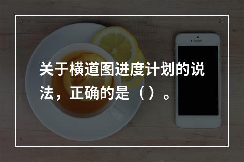 关于横道图进度计划的说法，正确的是（ ）。