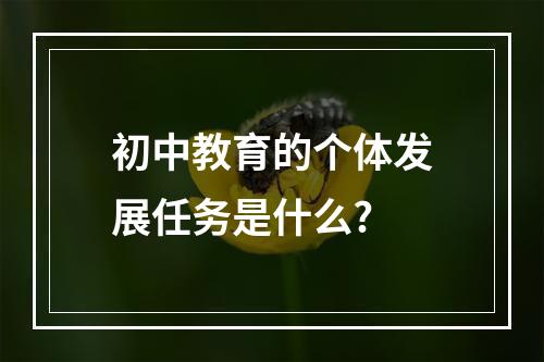 初中教育的个体发展任务是什么?