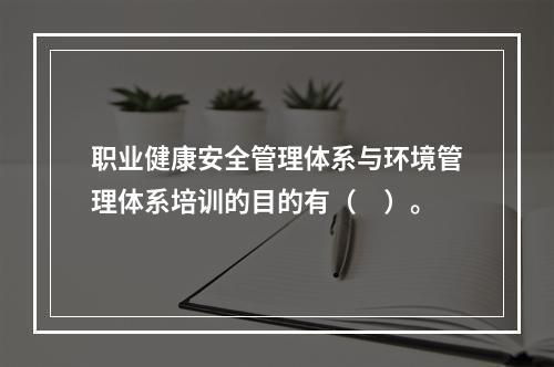 职业健康安全管理体系与环境管理体系培训的目的有（　）。