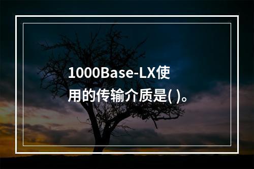 1000Base-LX使用的传输介质是( )。