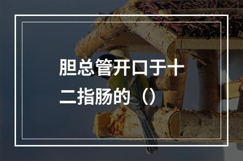 胆总管开口于十二指肠的（）