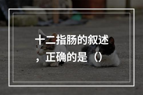 十二指肠的叙述，正确的是（）