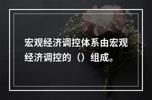 宏观经济调控体系由宏观经济调控的（）组成。