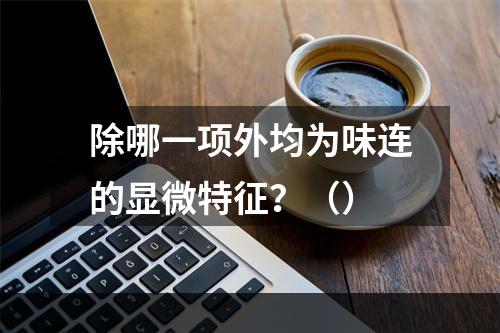 除哪一项外均为味连的显微特征？（）