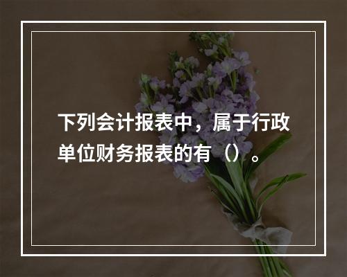 下列会计报表中，属于行政单位财务报表的有（）。