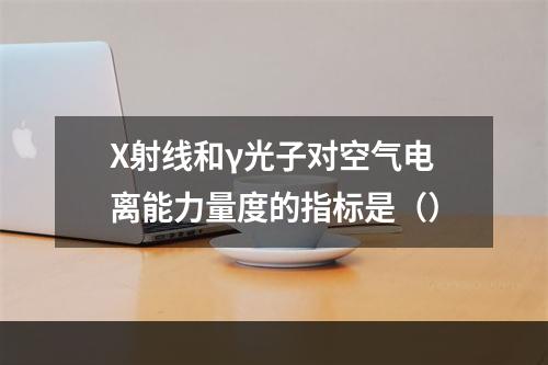 X射线和γ光子对空气电离能力量度的指标是（）